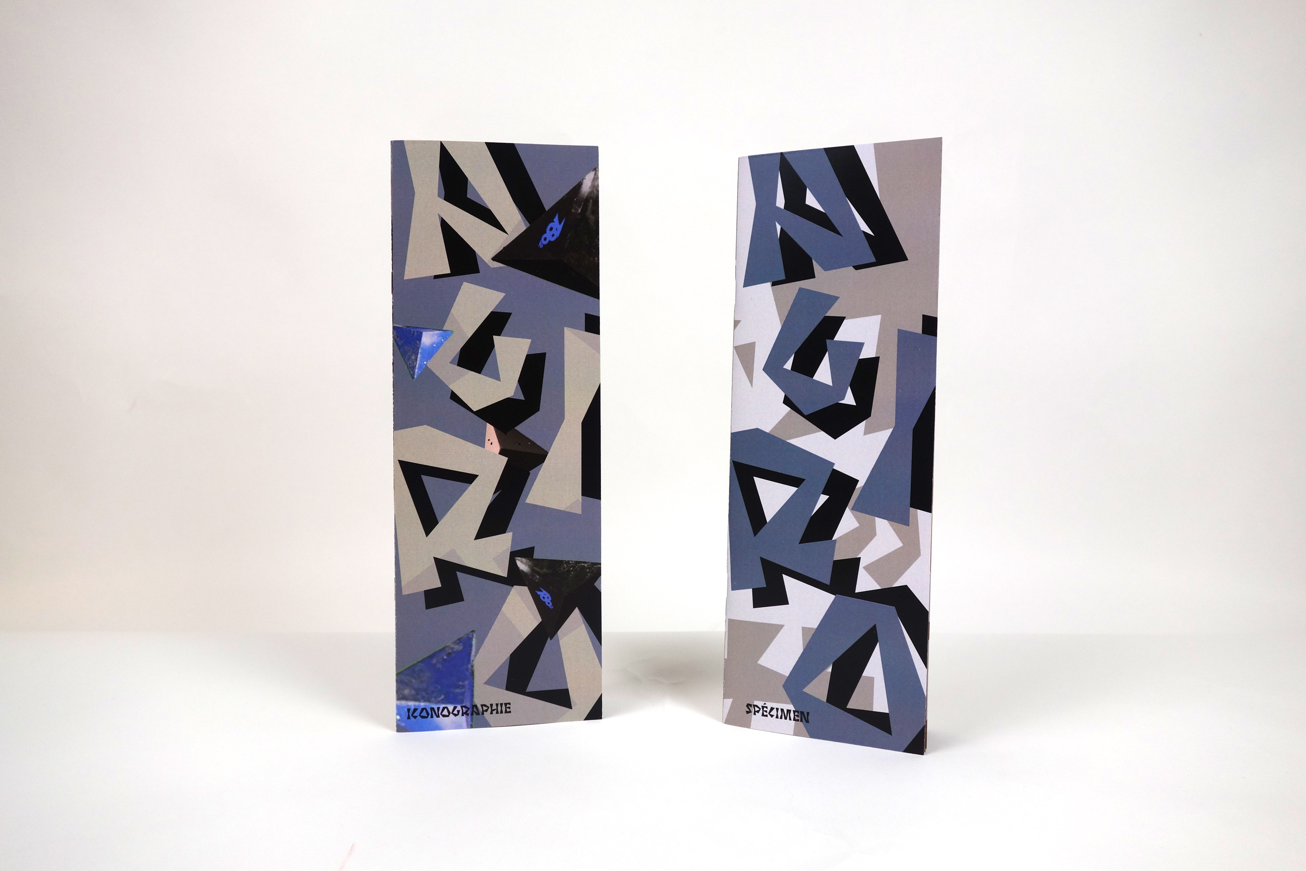 photo des couvertures des deux éditions