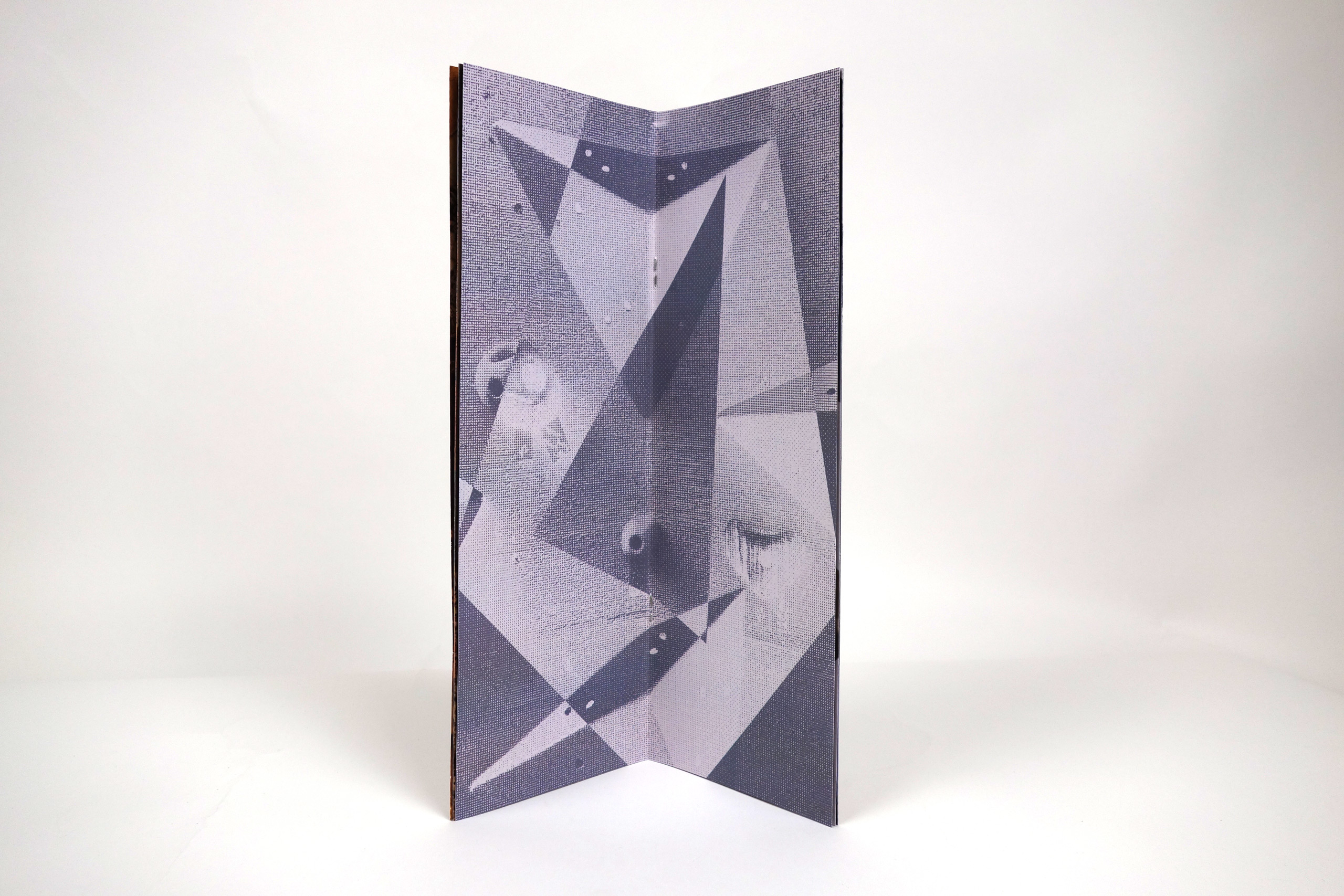 photo 1 de l'intérieur de l'édition iconographique