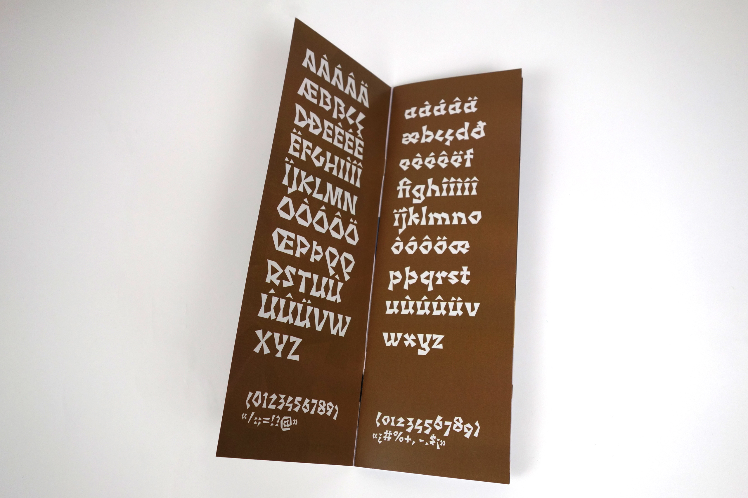 photo 1 de l'intérieur du spécimen