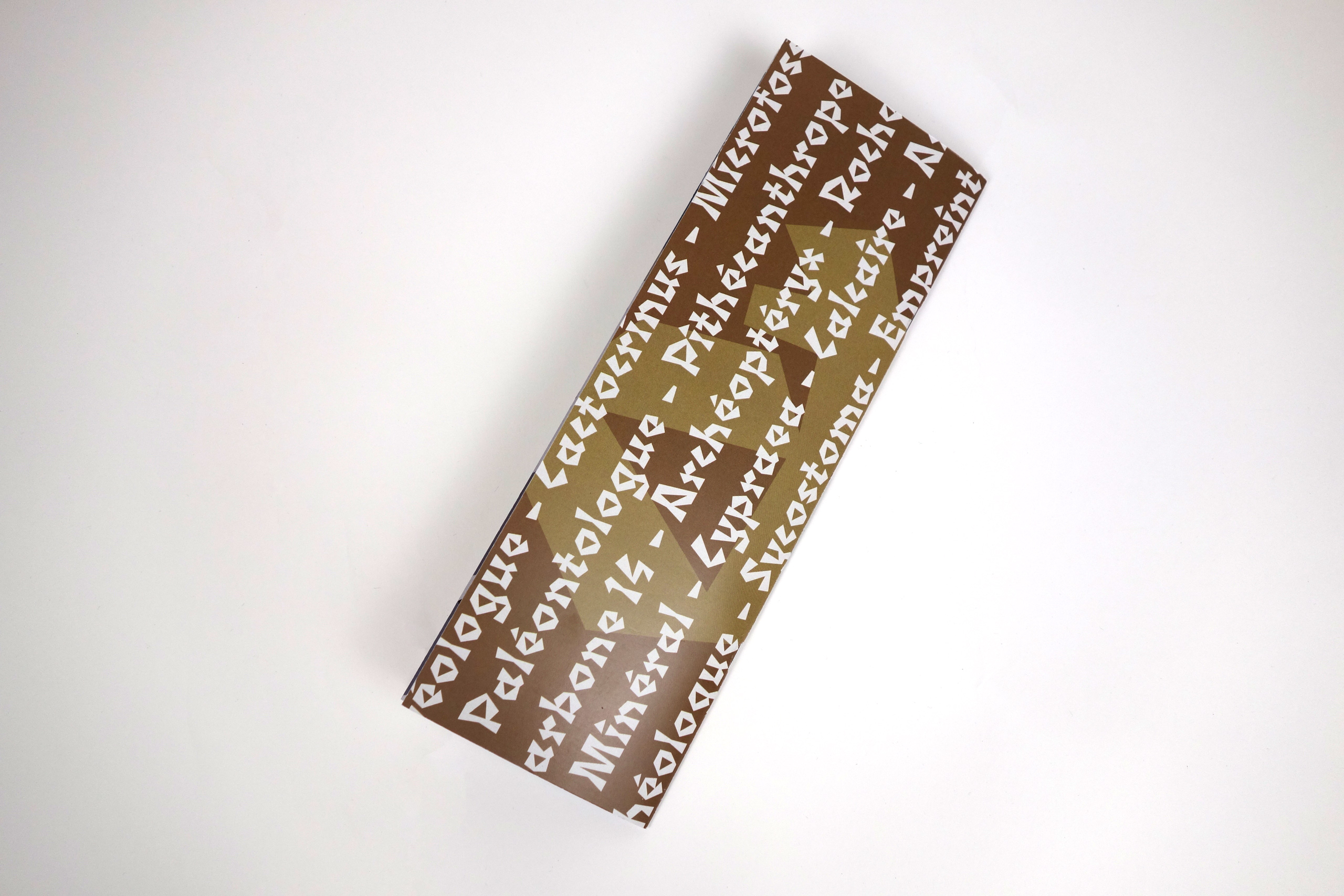 photo du dos du spécimen