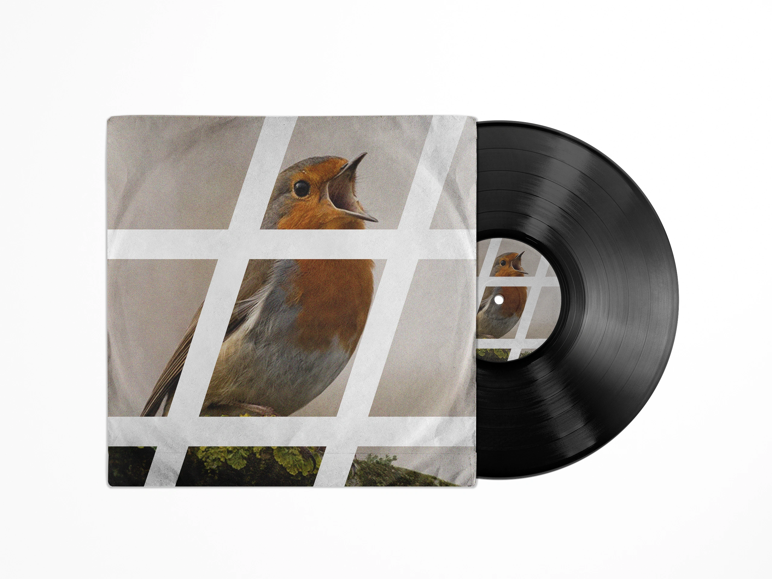 Pochettes de vinyle pour Opening