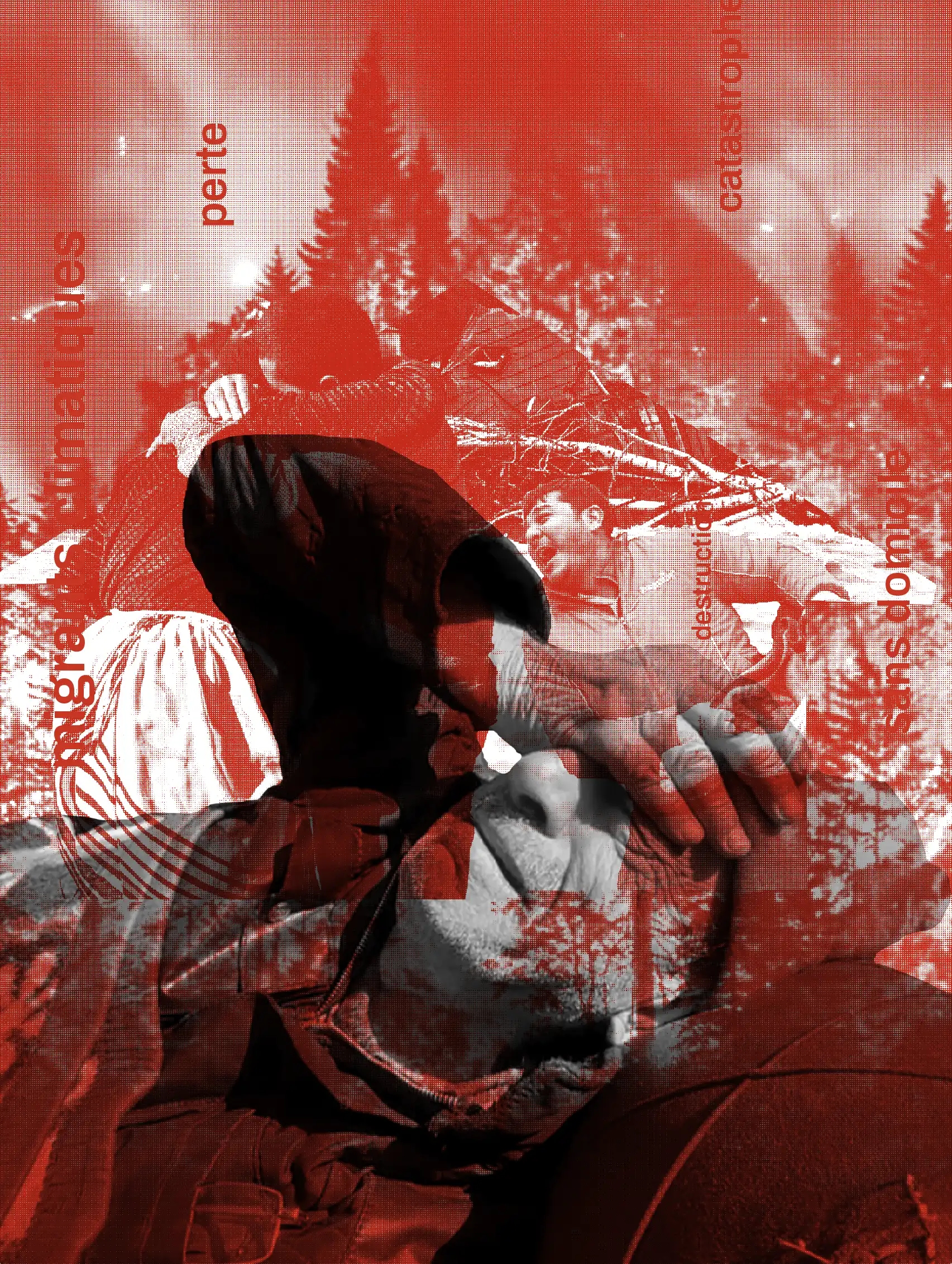 affiche impact réchauffement climatique