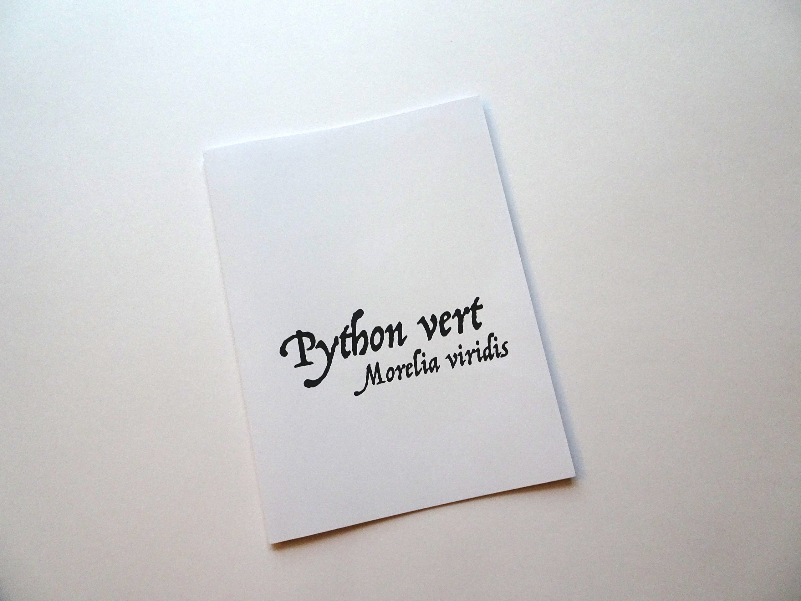 photo 1 du leporello