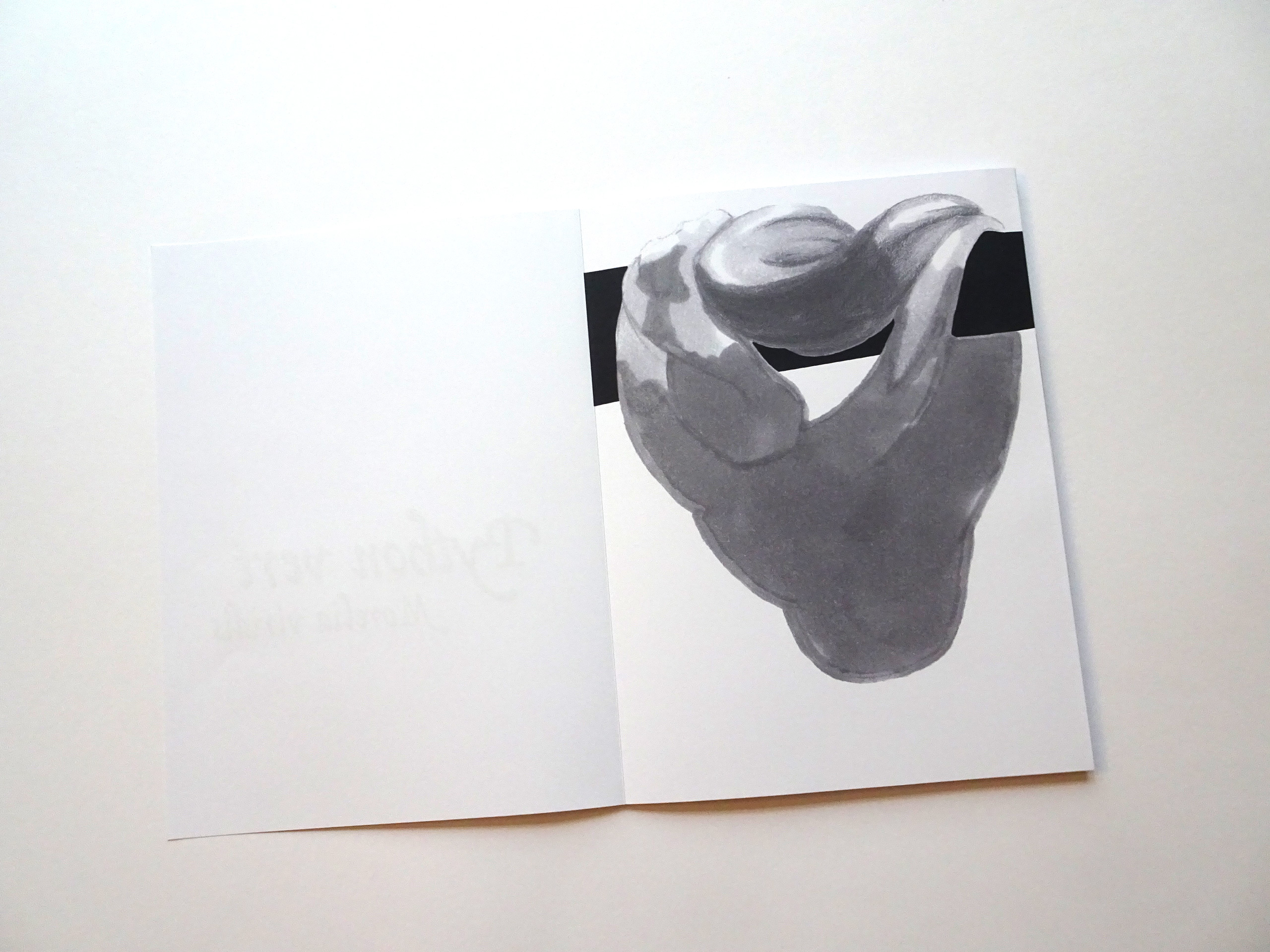 photo 2 du leporello