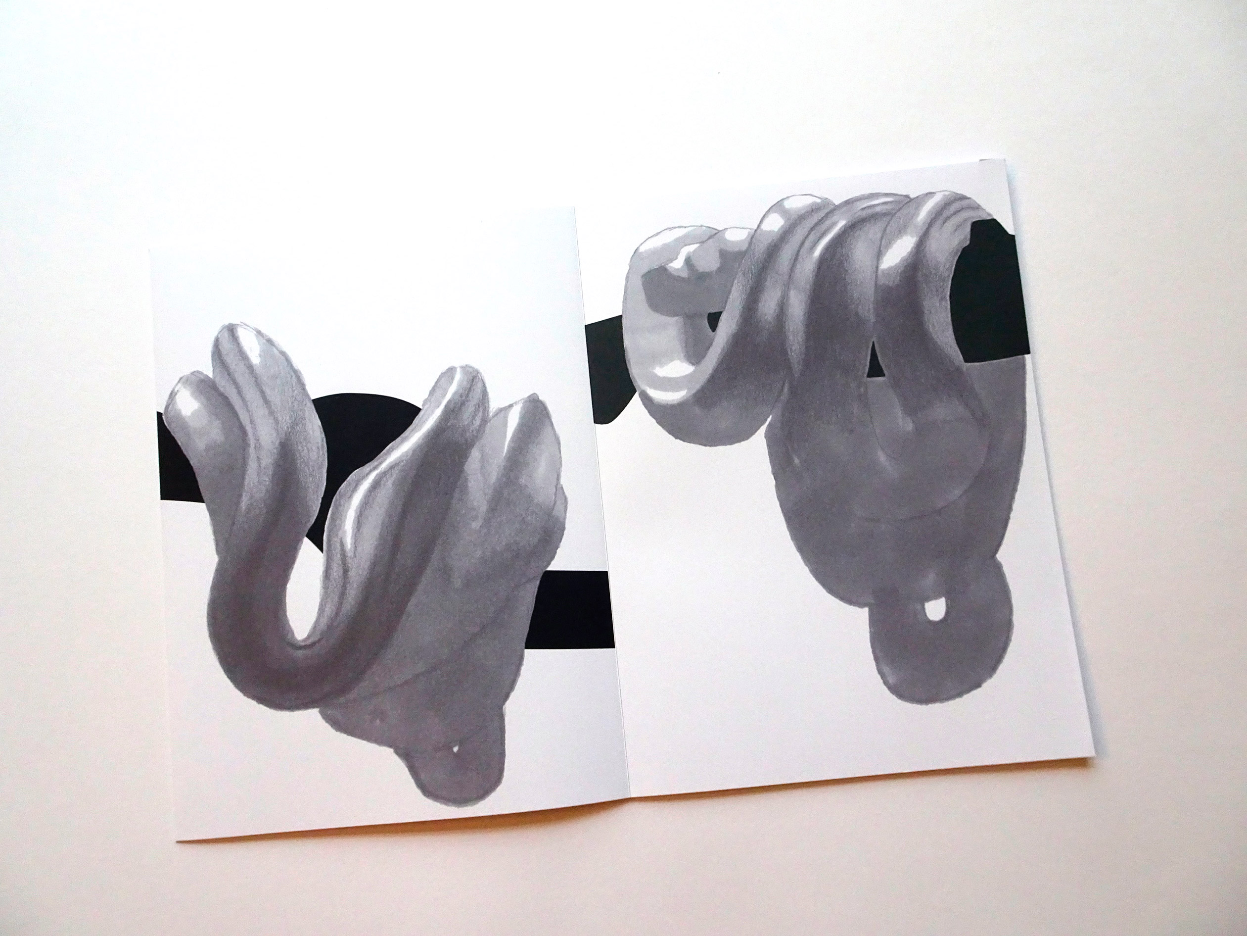 photo 3 du leporello