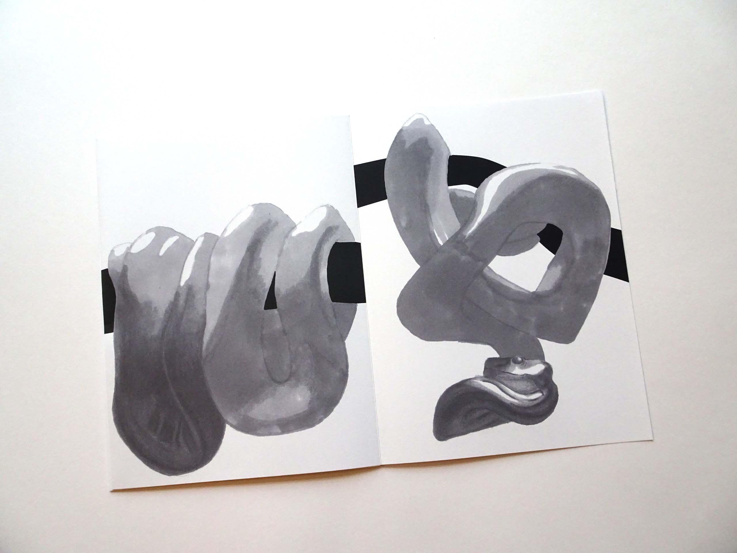 photo 4 du leporello