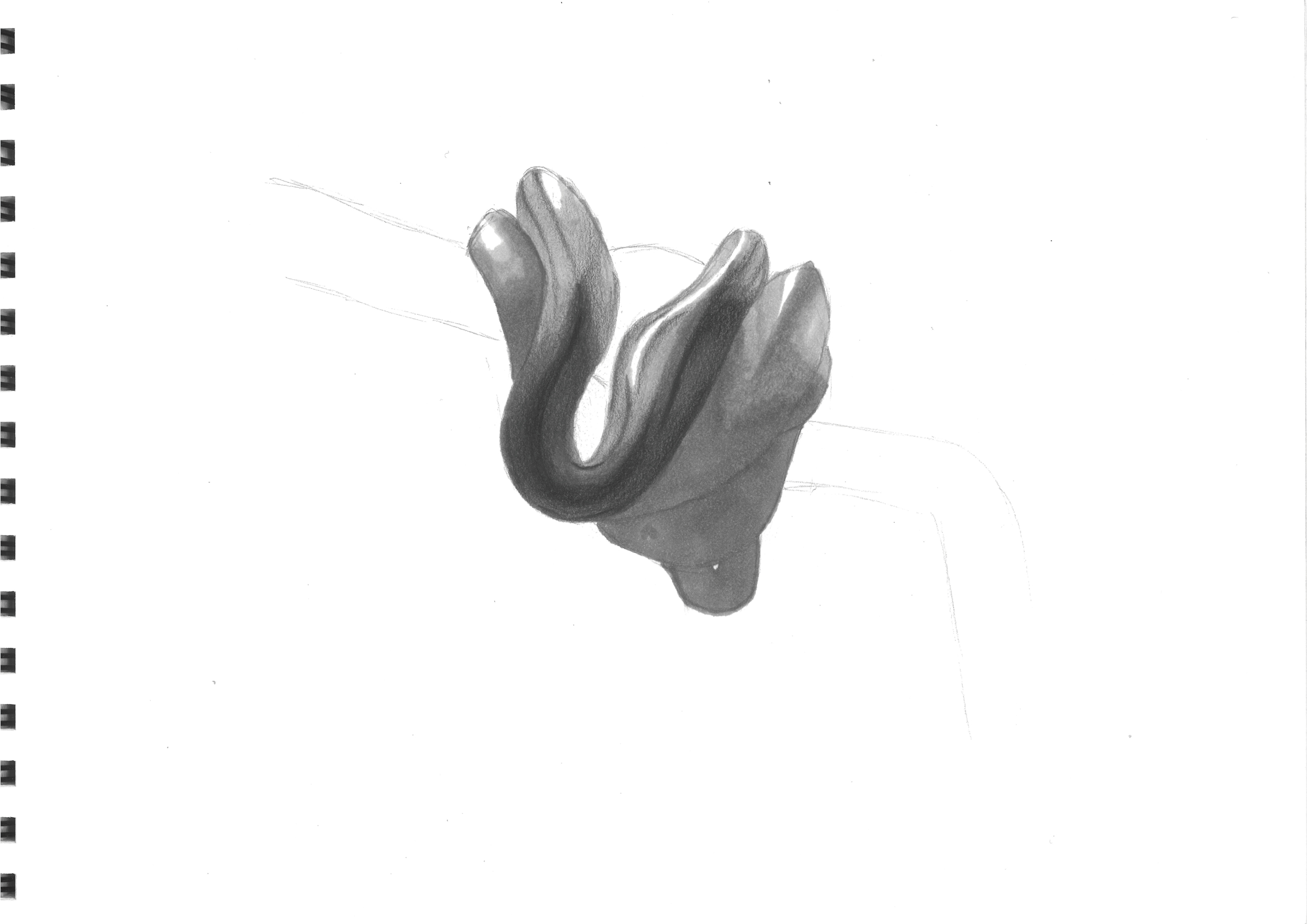 dessin 2 du python vert