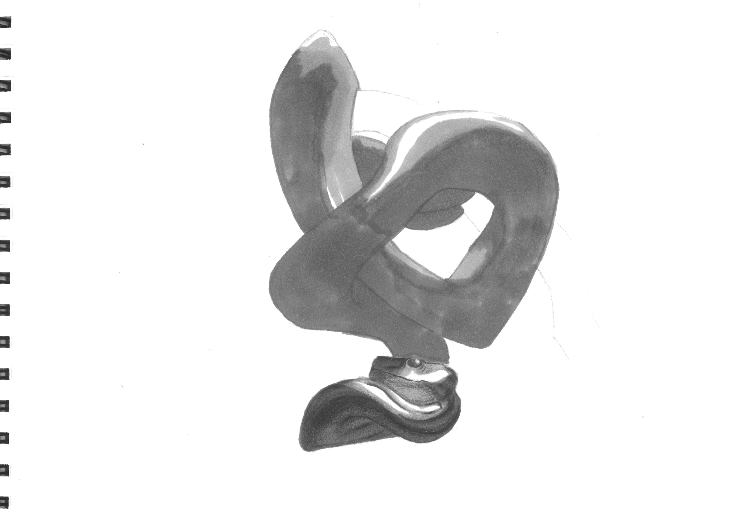 dessin 5 du python vert